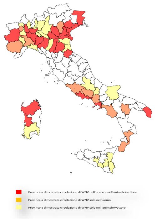 italy.JPG